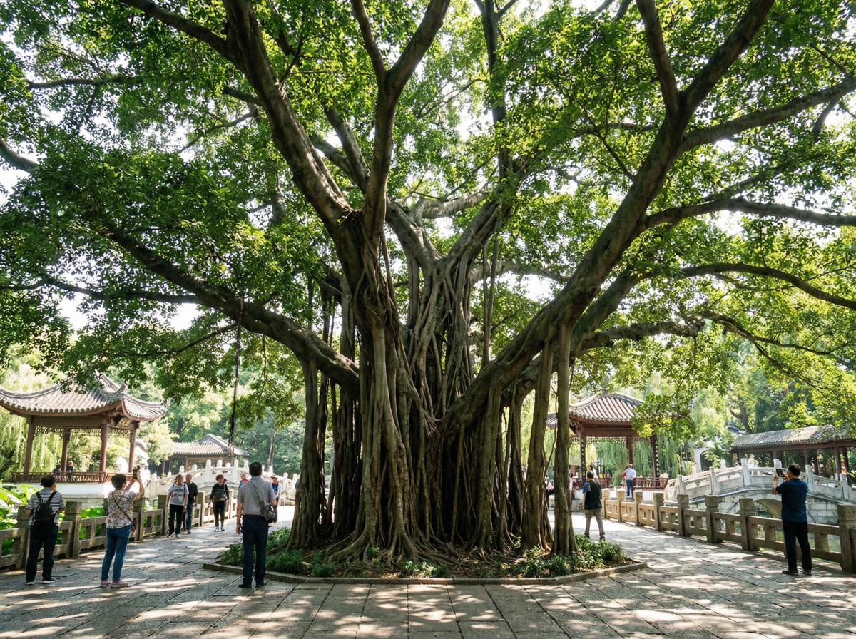 蘑菇视频社区顾问王雅琴